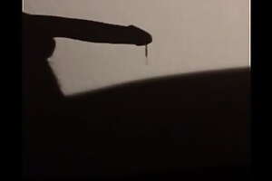 Shadow puppet