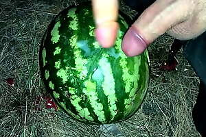 I found a WATERMELON in the forest and fucked it with two members / Male clamber up / Russian dirty talk / Dildo