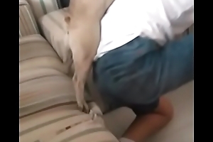Cachorro sedento por sexo fode novinho