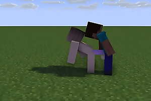 Minecraft Girl gets fucked by steve from behind