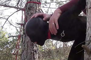 Outdoor carnal knowledge anent the wood. Wearing down in the mouth clothes and high heels, bound, throated and fucked