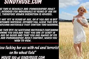 Sindy Rose fucking her ass with overheated anal terrorist on the wheat field