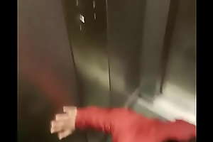 elevator quickie