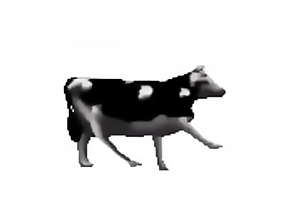polish cow
